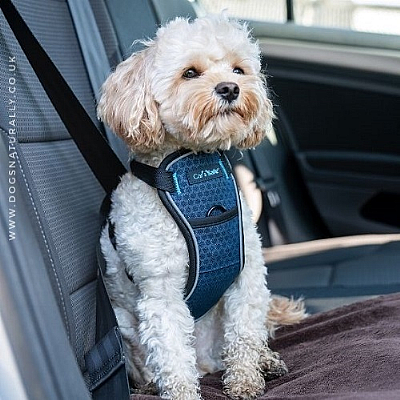 CarSafe Dog Harness Small (Crash Tested)